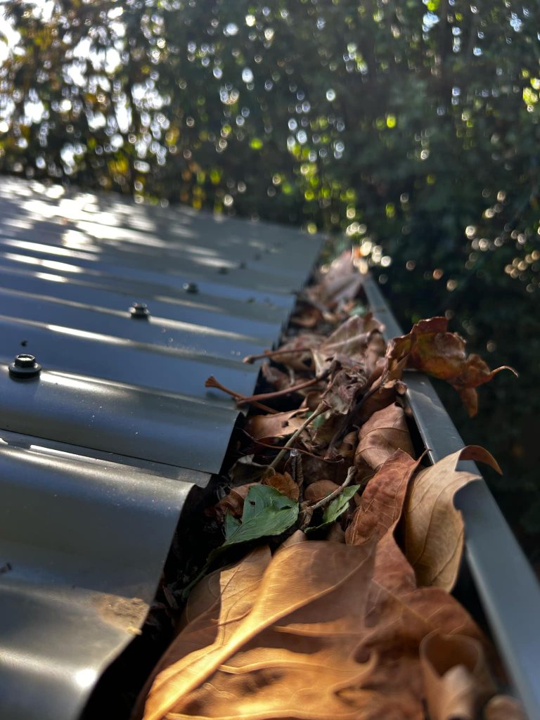 Leaves and debris building up in a metal roof gutter before gutter cleaning in Perth