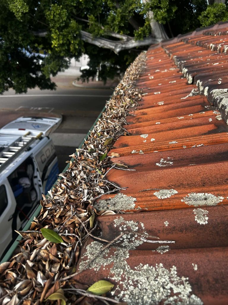 Blocked gutter with leaves and lichen before gutter cleaning at a Perth home
